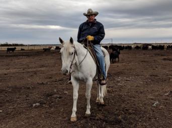 Duane Walker, a Saint Luke's Mid America Heart Institute patient, riding his white horse in a pasture of cattle.