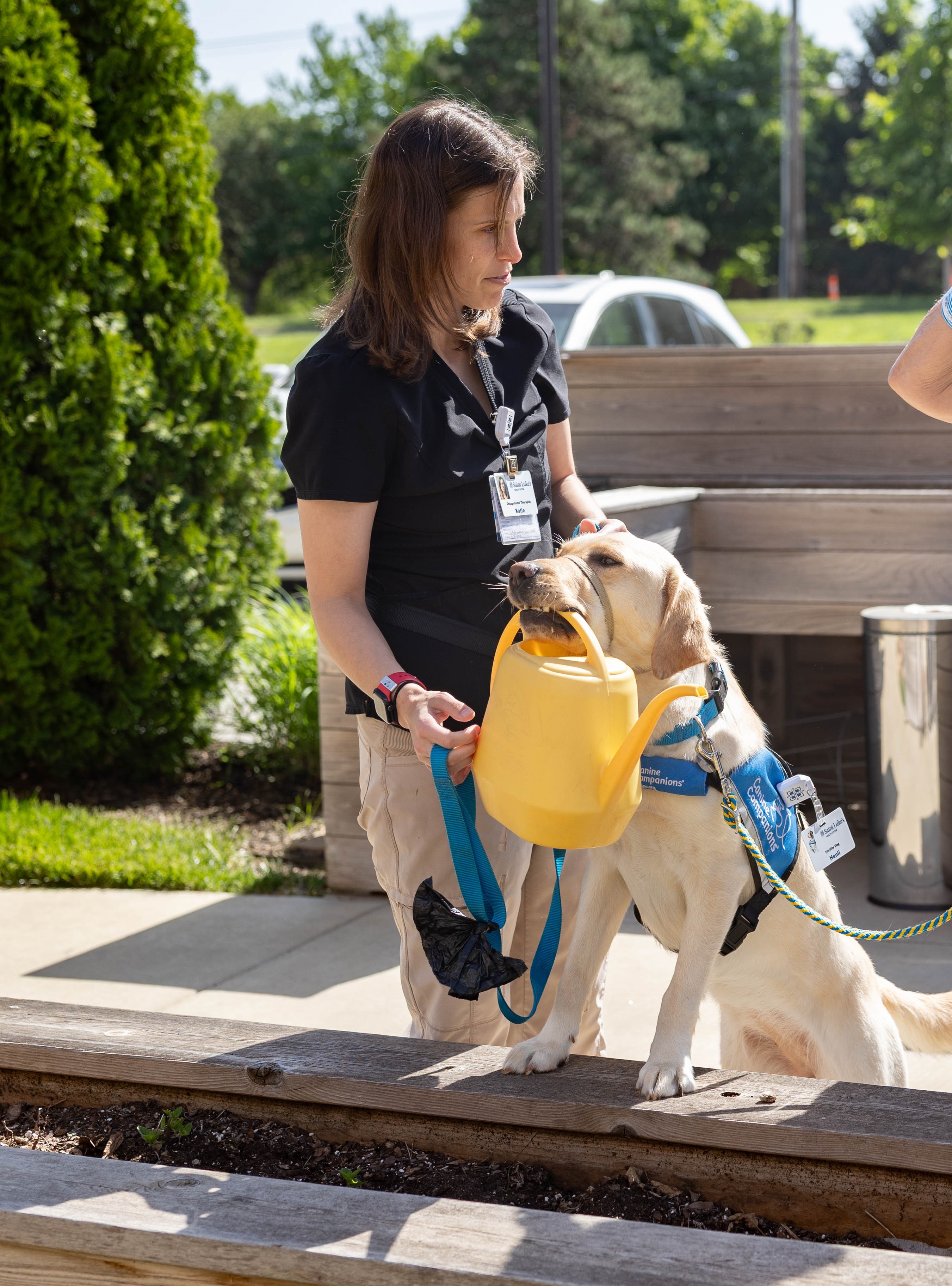 Henli the facility dog shows how he assists patients in rehabilitation